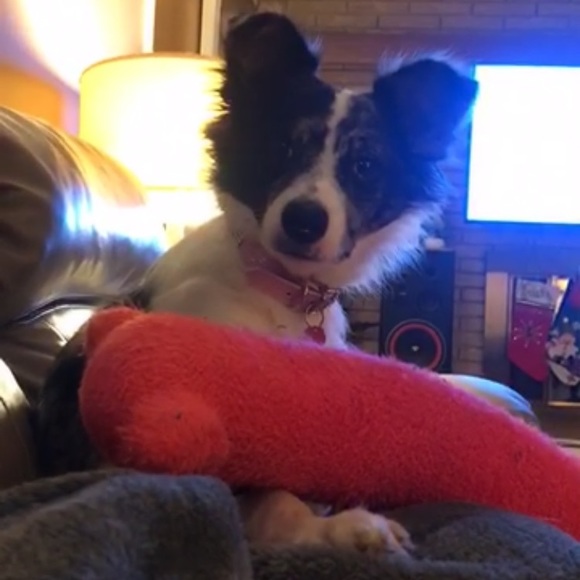 Meet your Posher, Krista - Picture 1 of 1